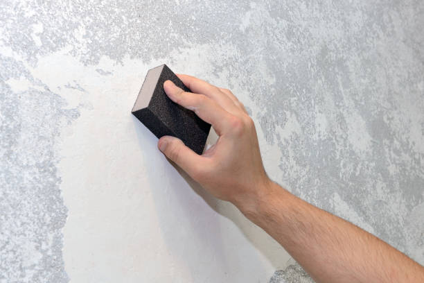 Best Mold Odor Removal Services  in Pion Hills, CA
