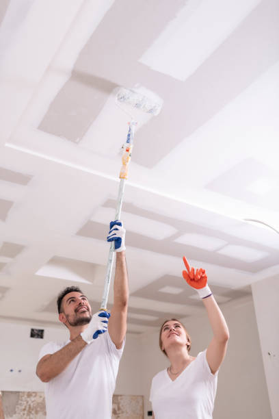 Best Mold Remediation for Vacation Homes  in Pion Hills, CA