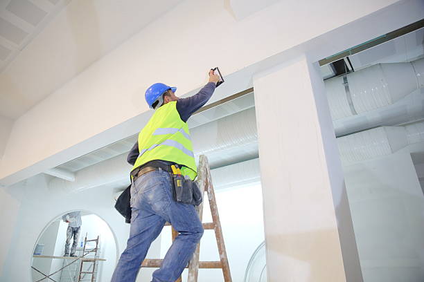Professional Mold Removal in Pion Hills, CA